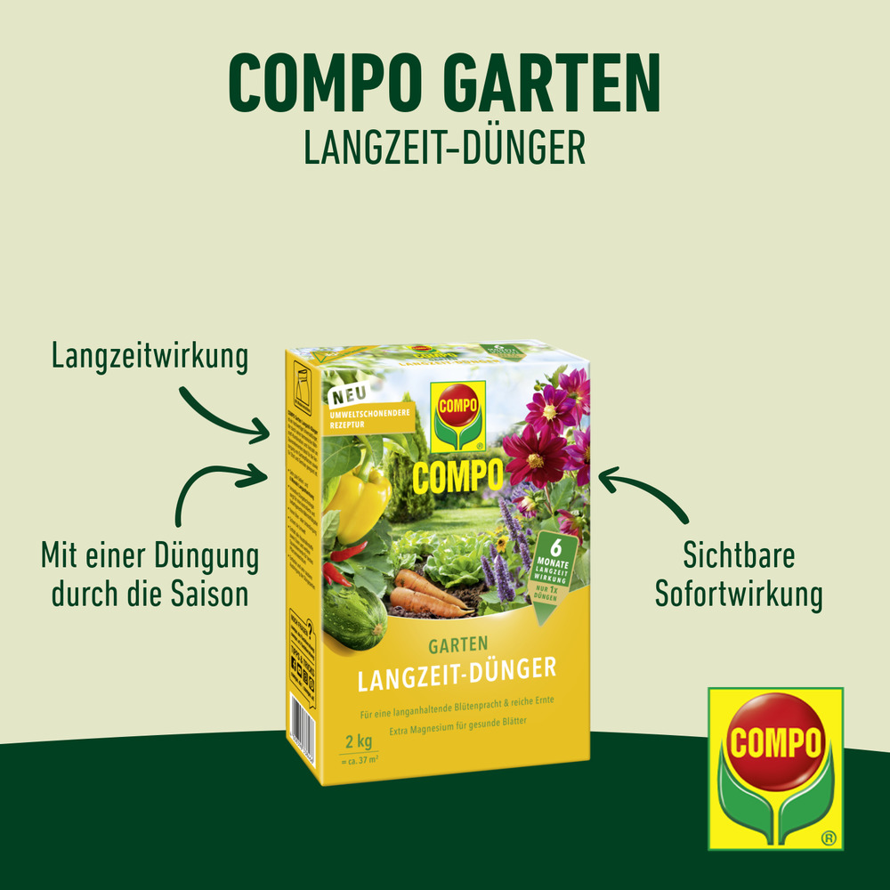 compo image