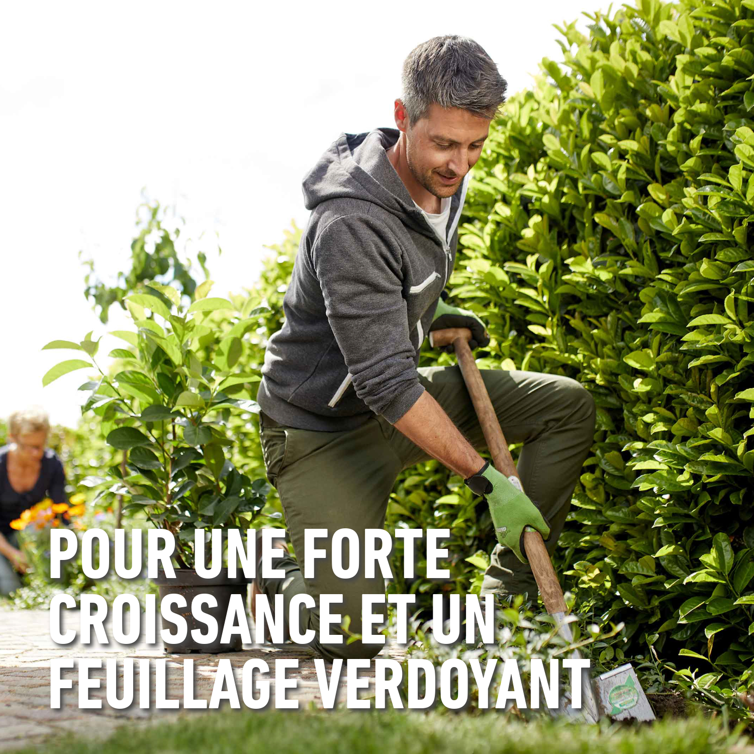 compo image