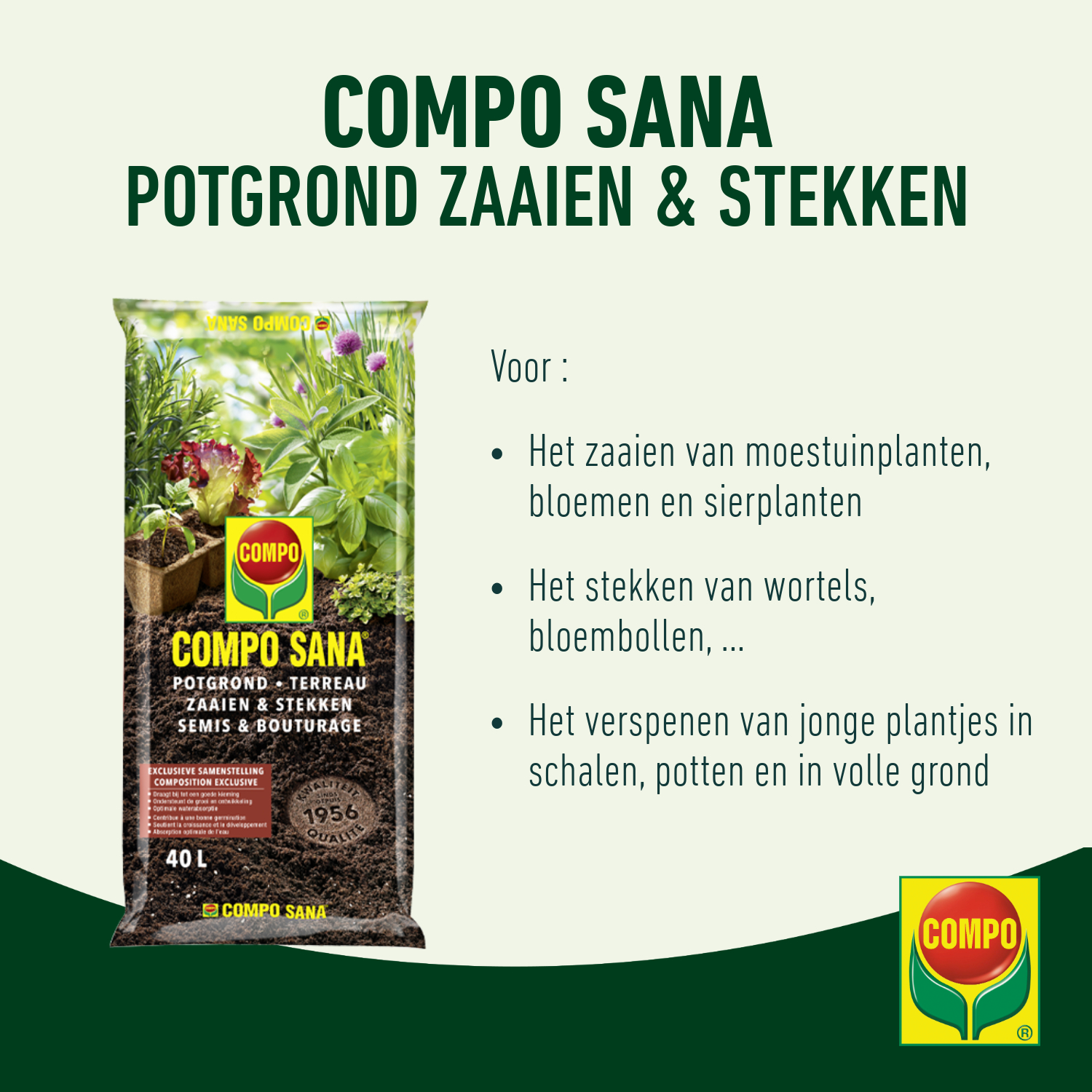 compo image