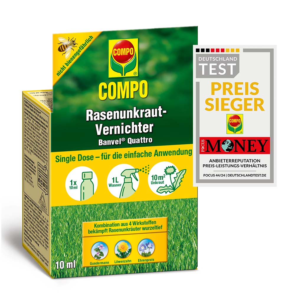 compo image