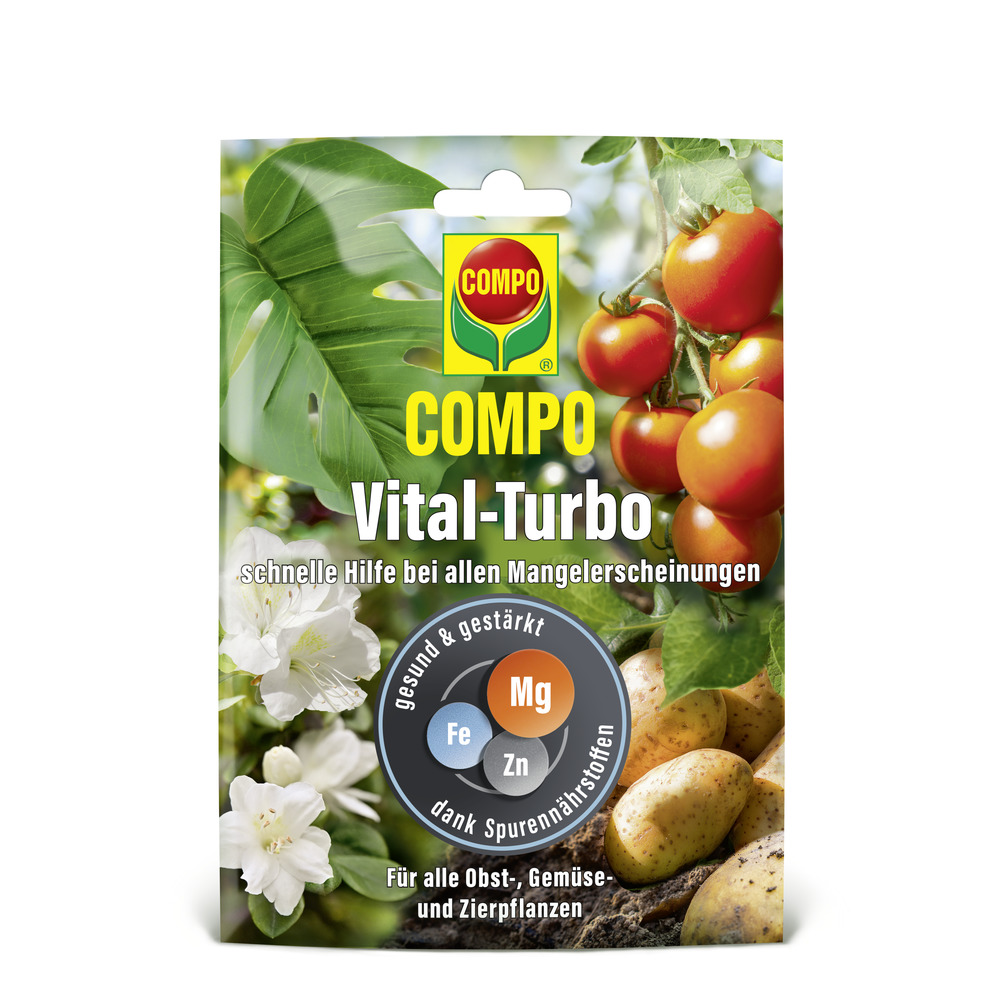 compo image