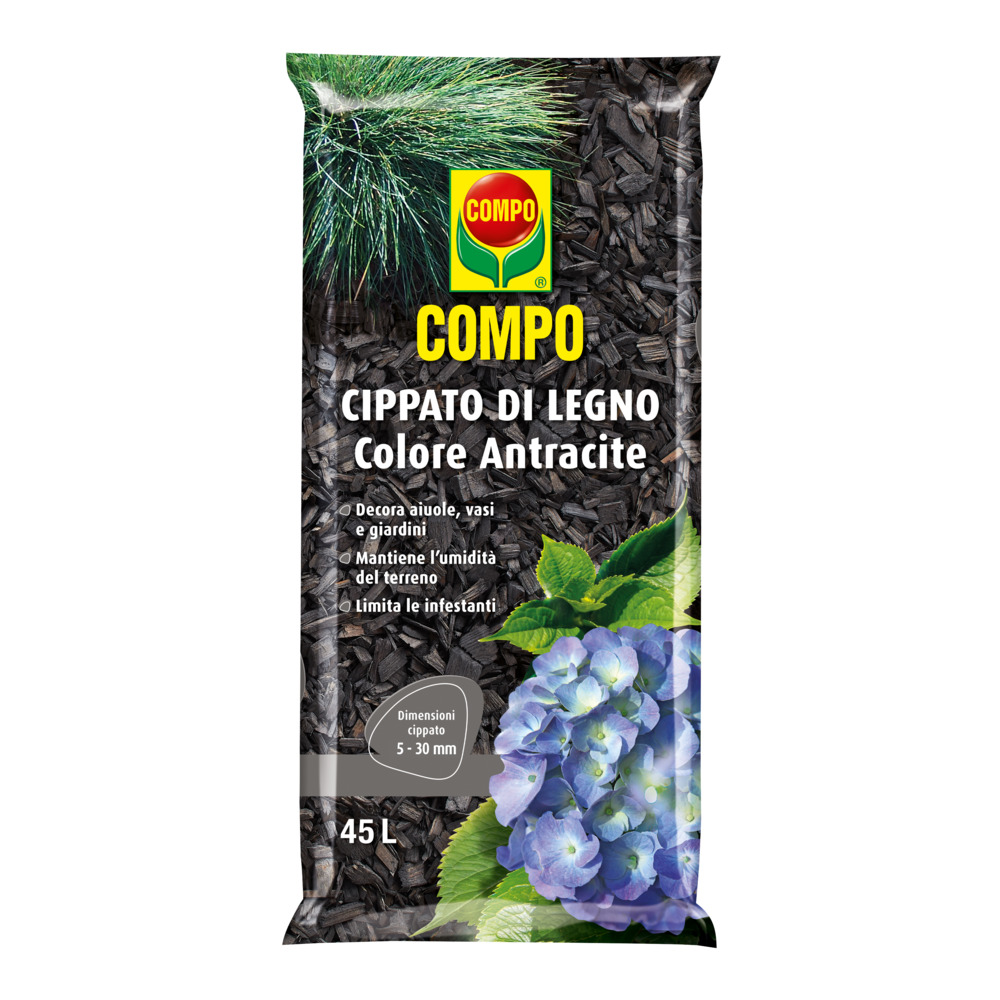 compo image