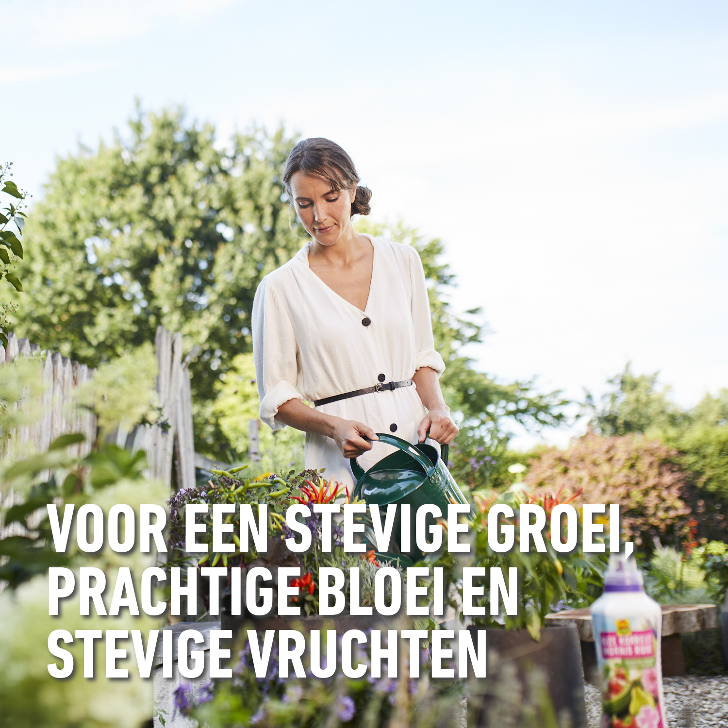 compo image