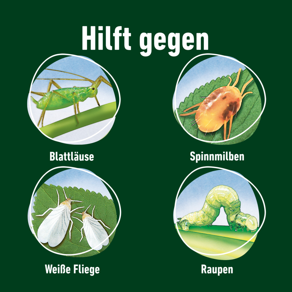 compo image