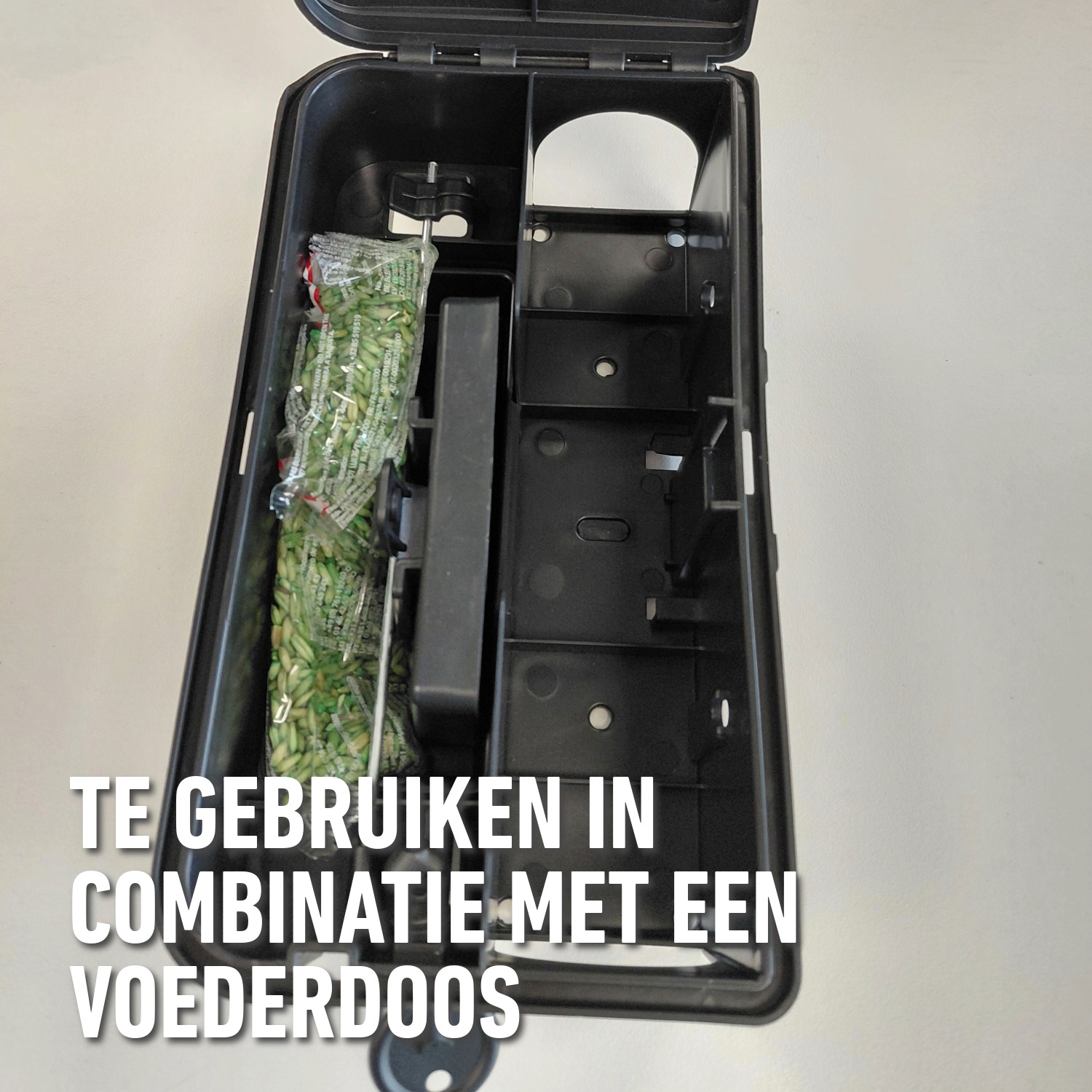 compo image
