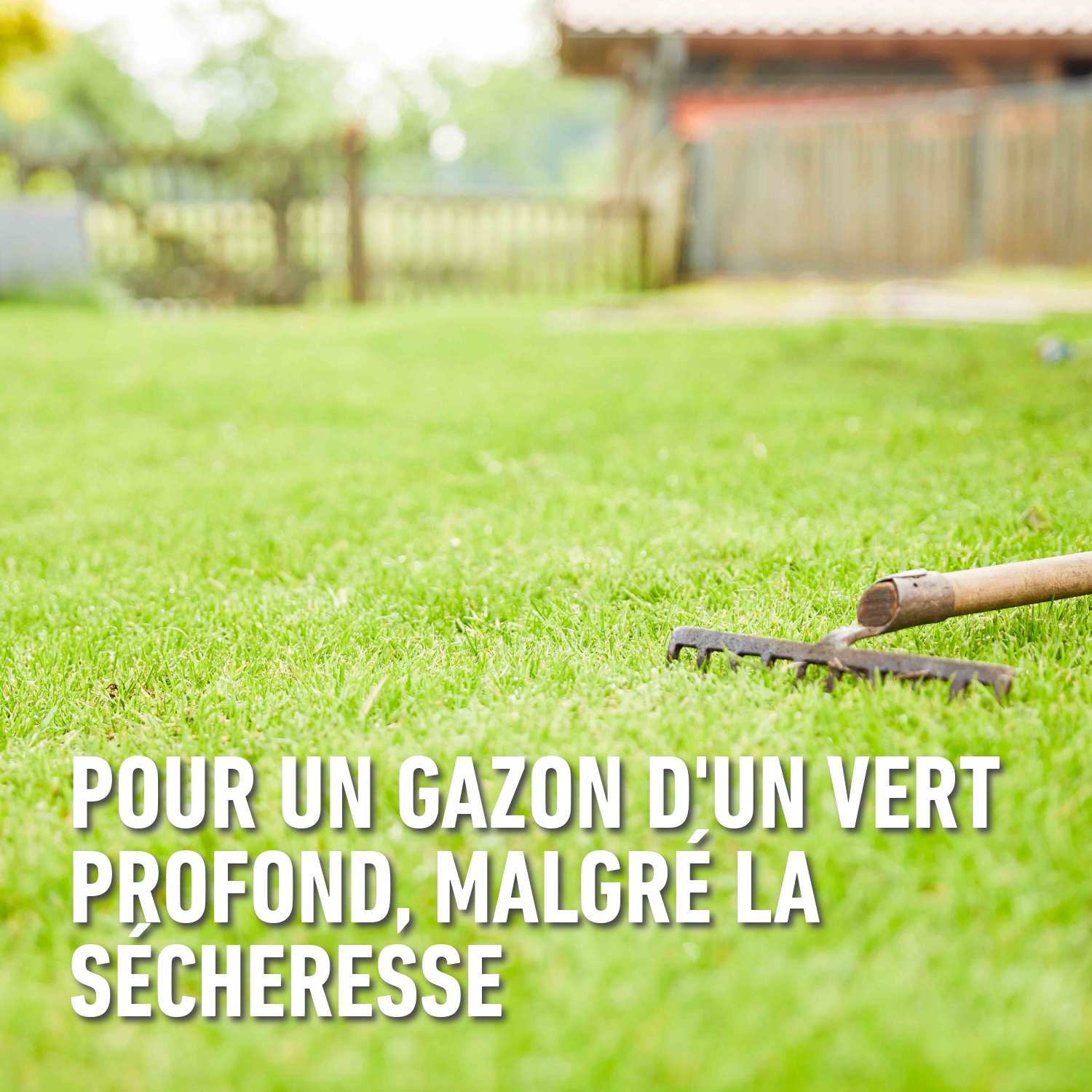 compo image