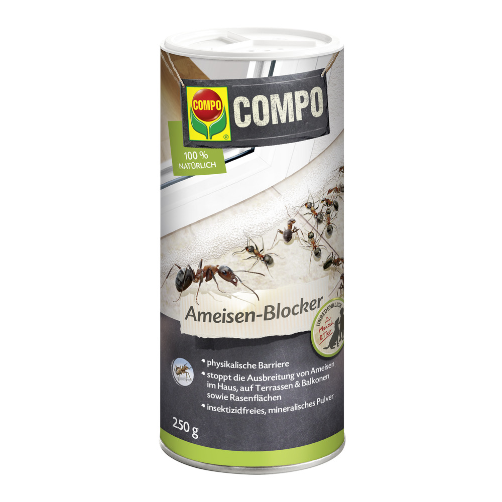 compo image