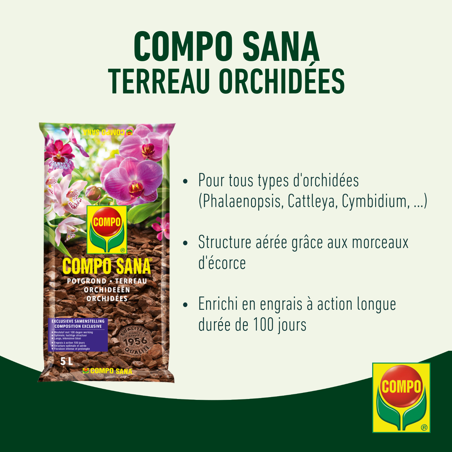 compo image