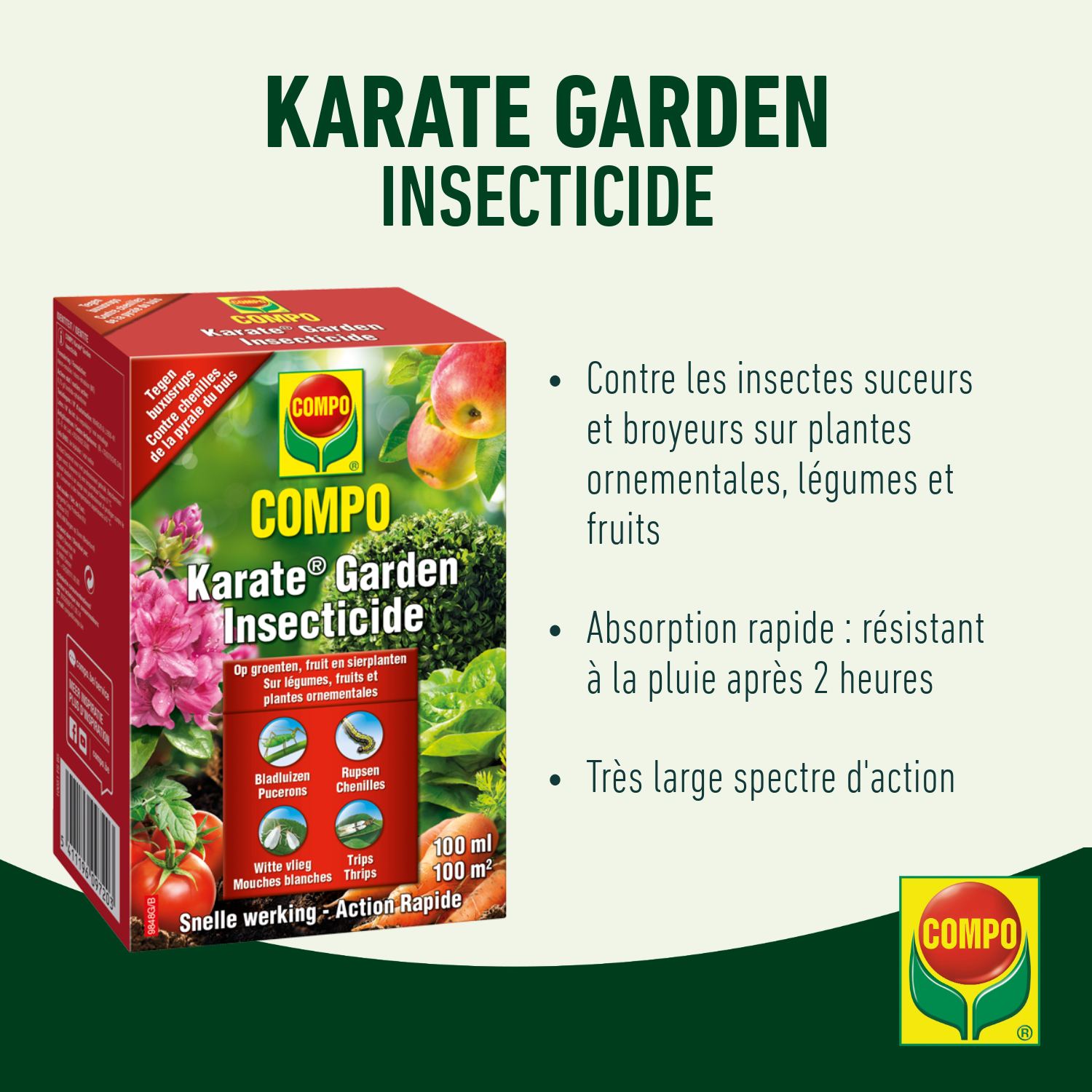 compo image