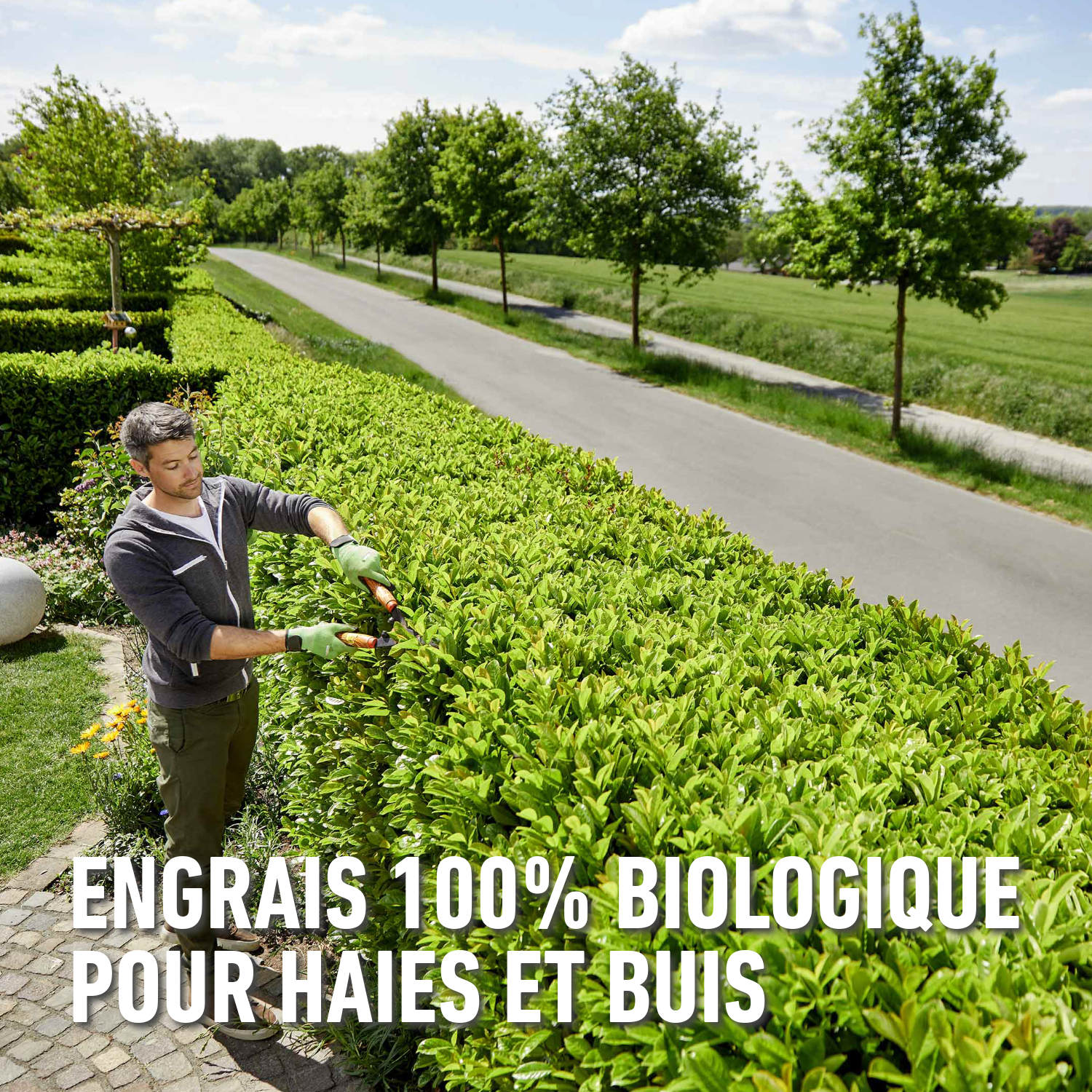 compo image