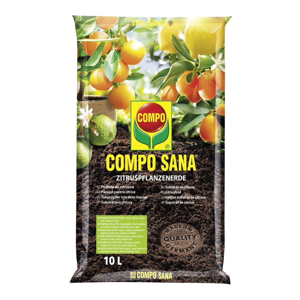 compo image