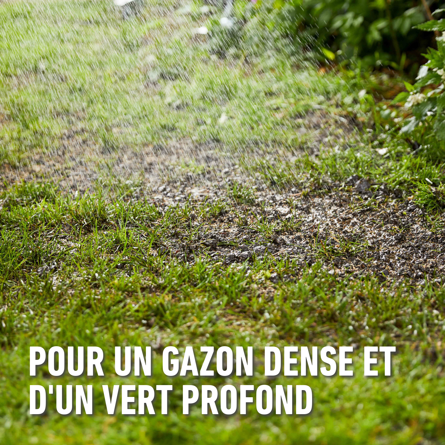 compo image