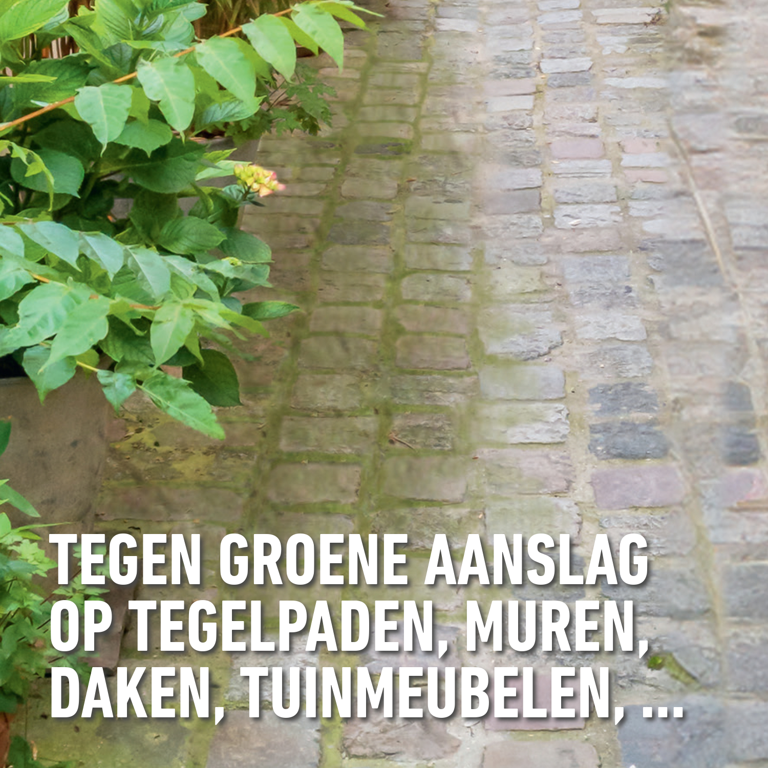 compo image