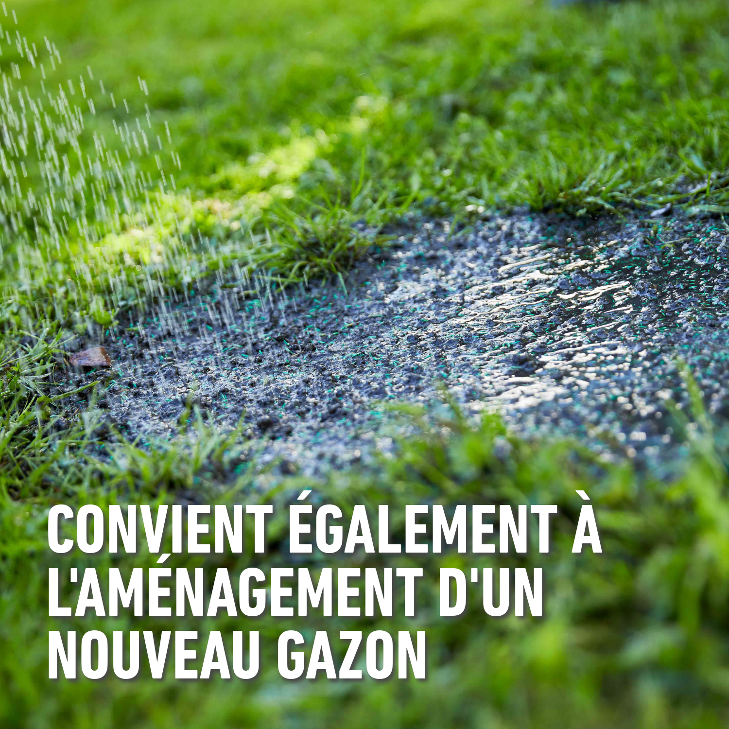 compo image