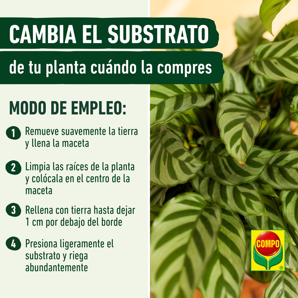 compo image