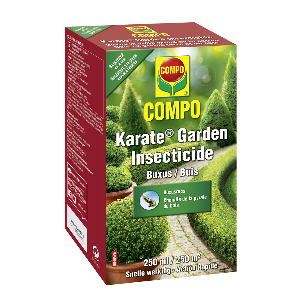compo image