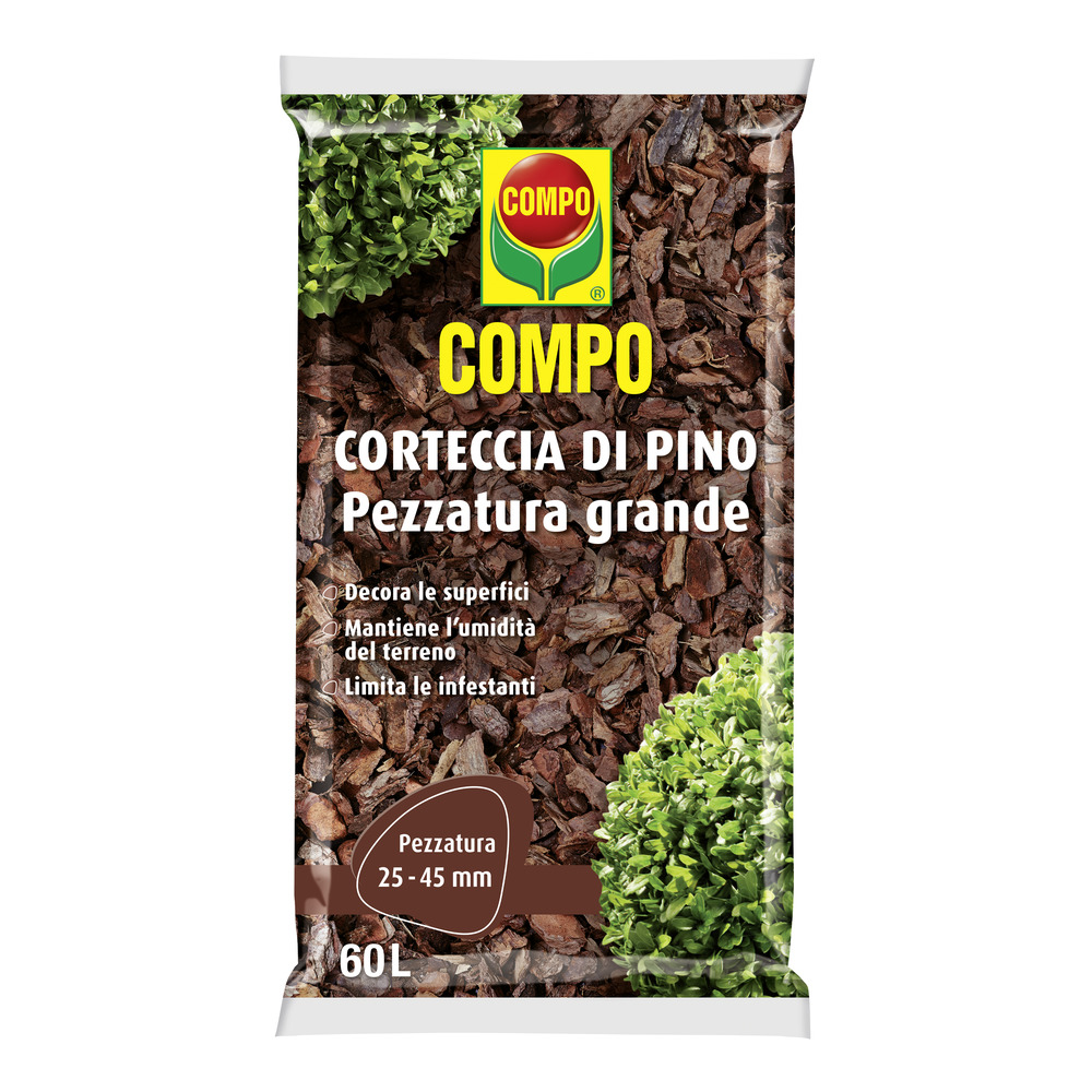 compo image
