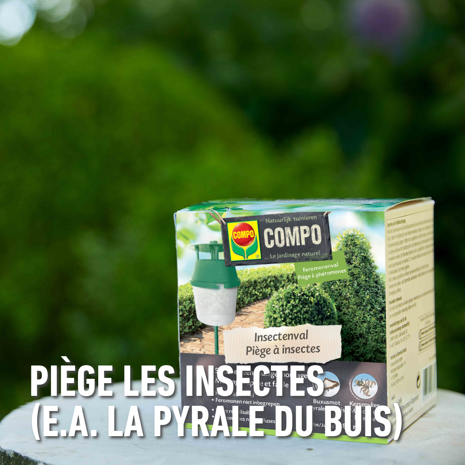 compo image