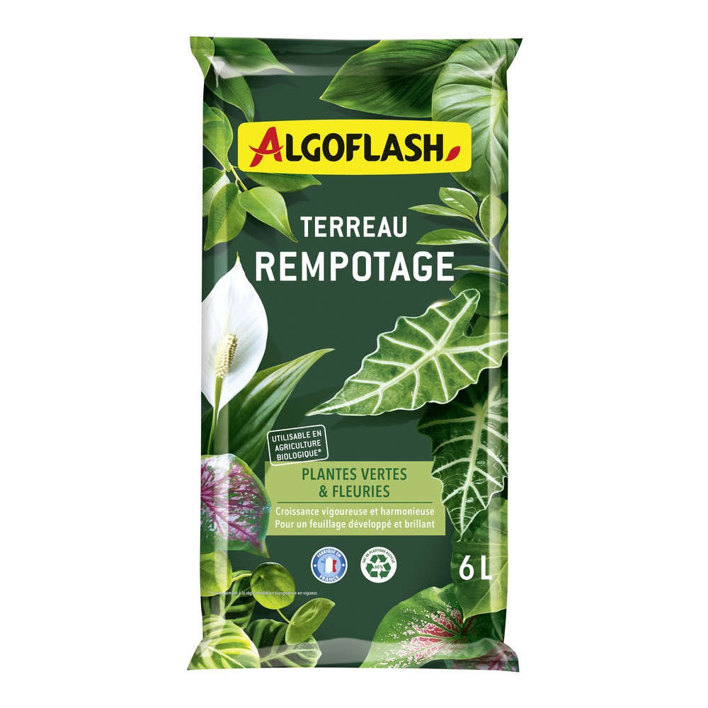 compo image
