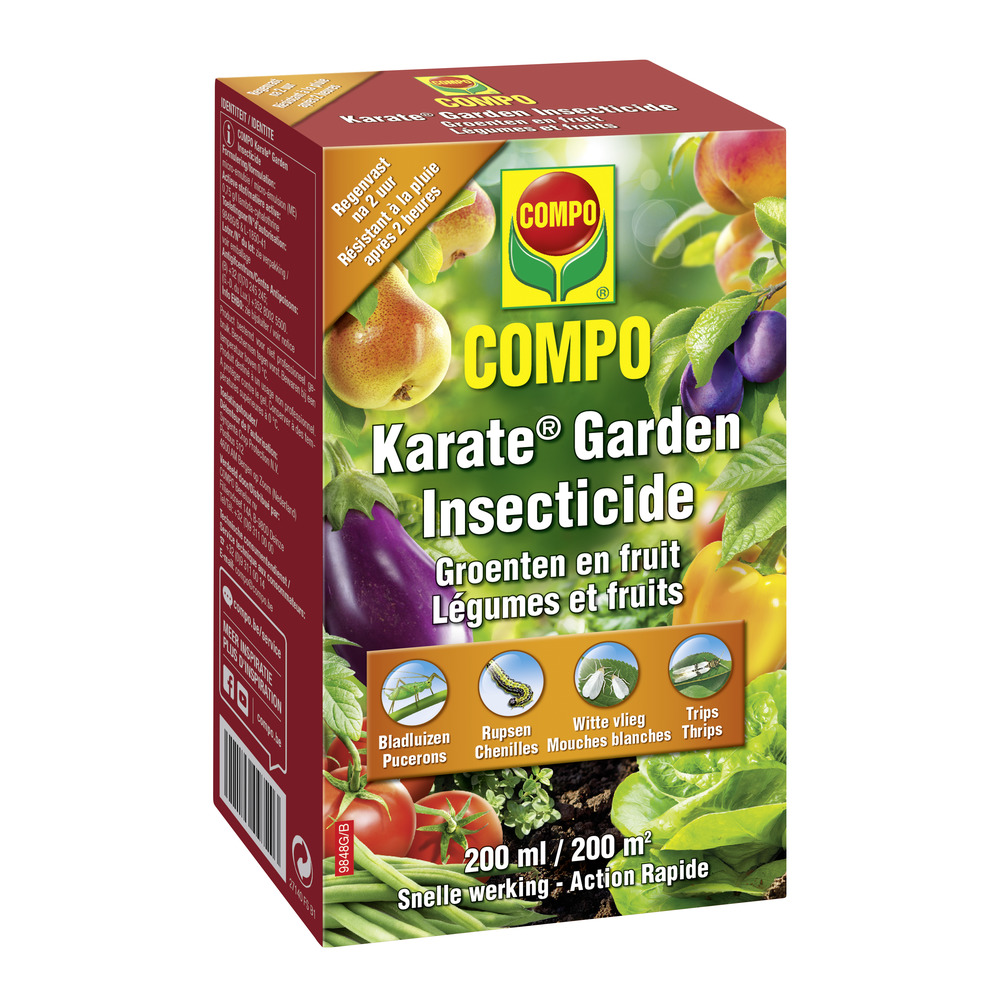 compo image