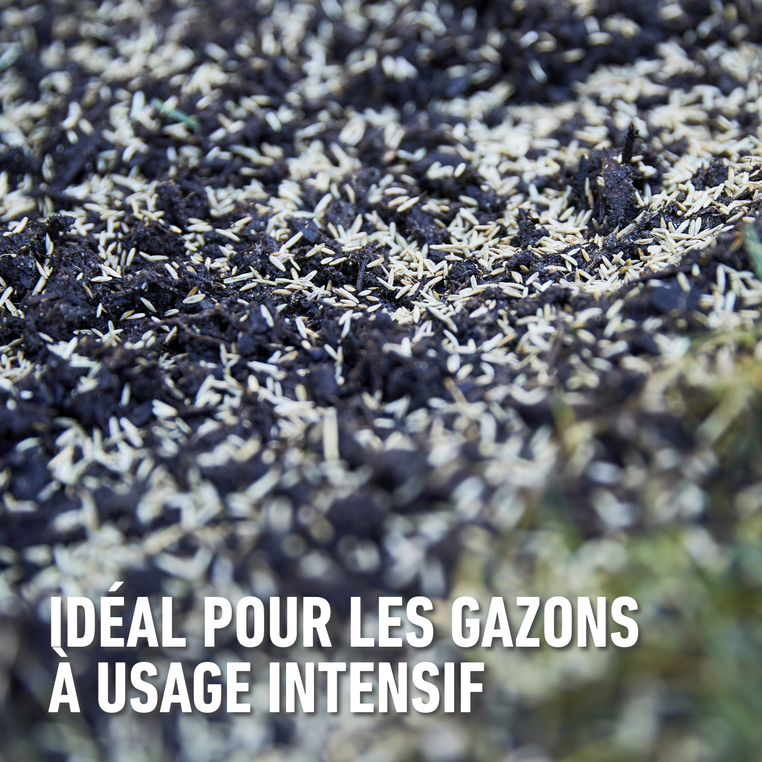 compo image
