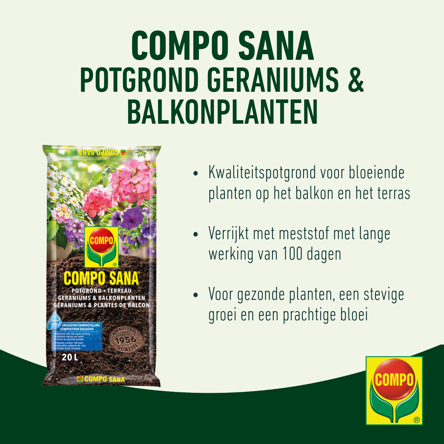 compo image