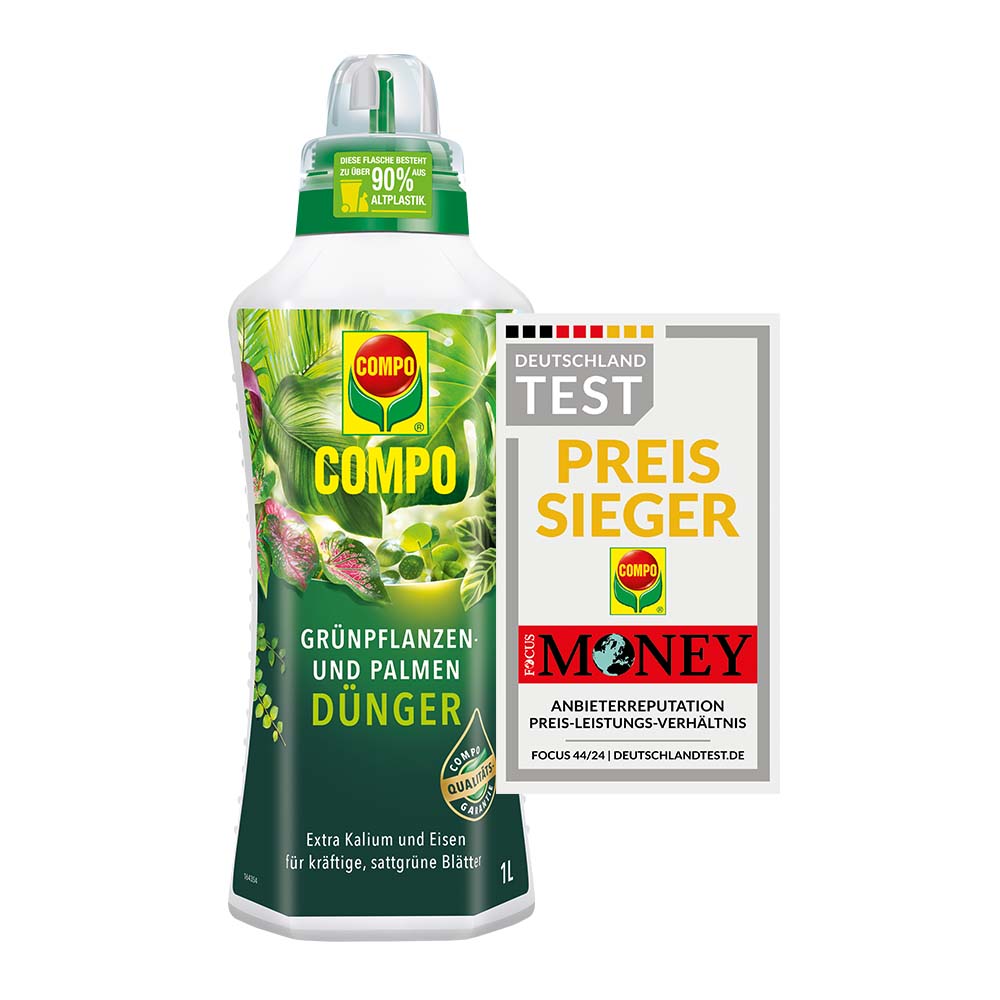 compo image