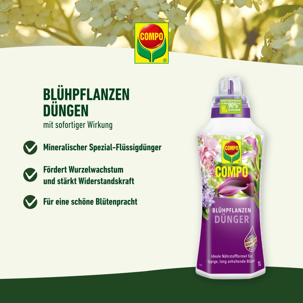 compo image