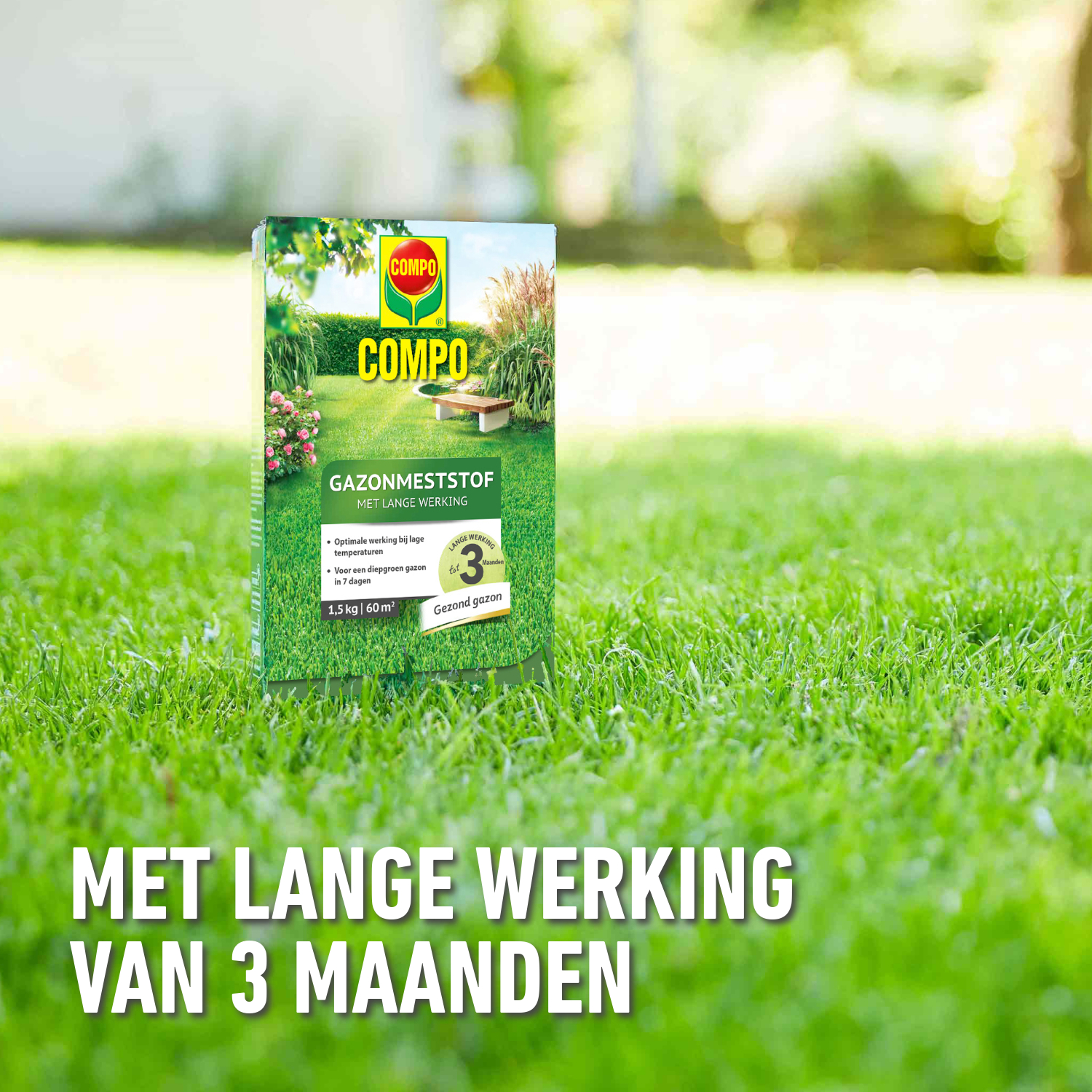 compo image