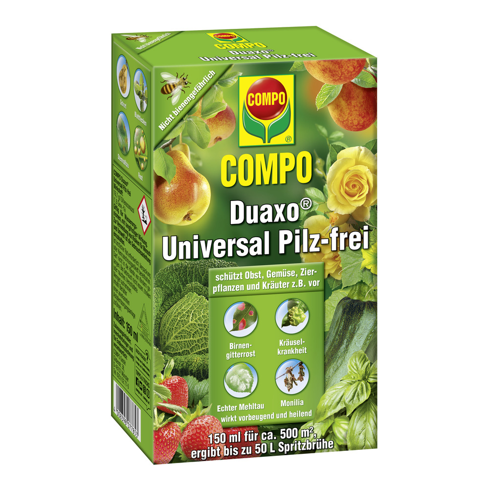 compo image
