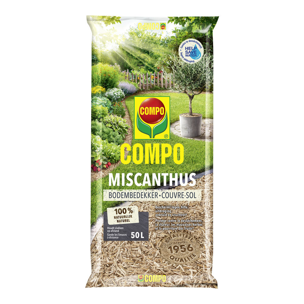 compo image