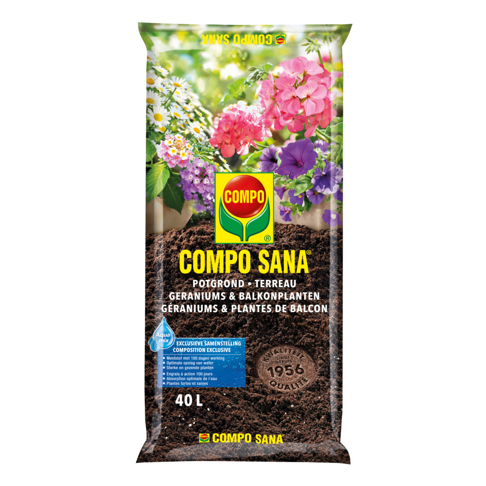 compo image