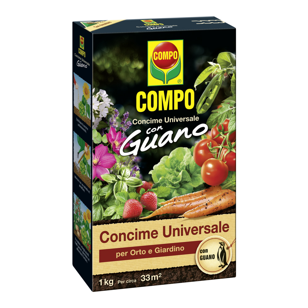 compo image