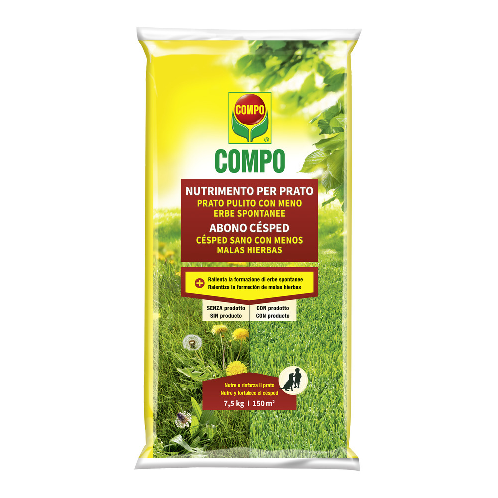 compo image