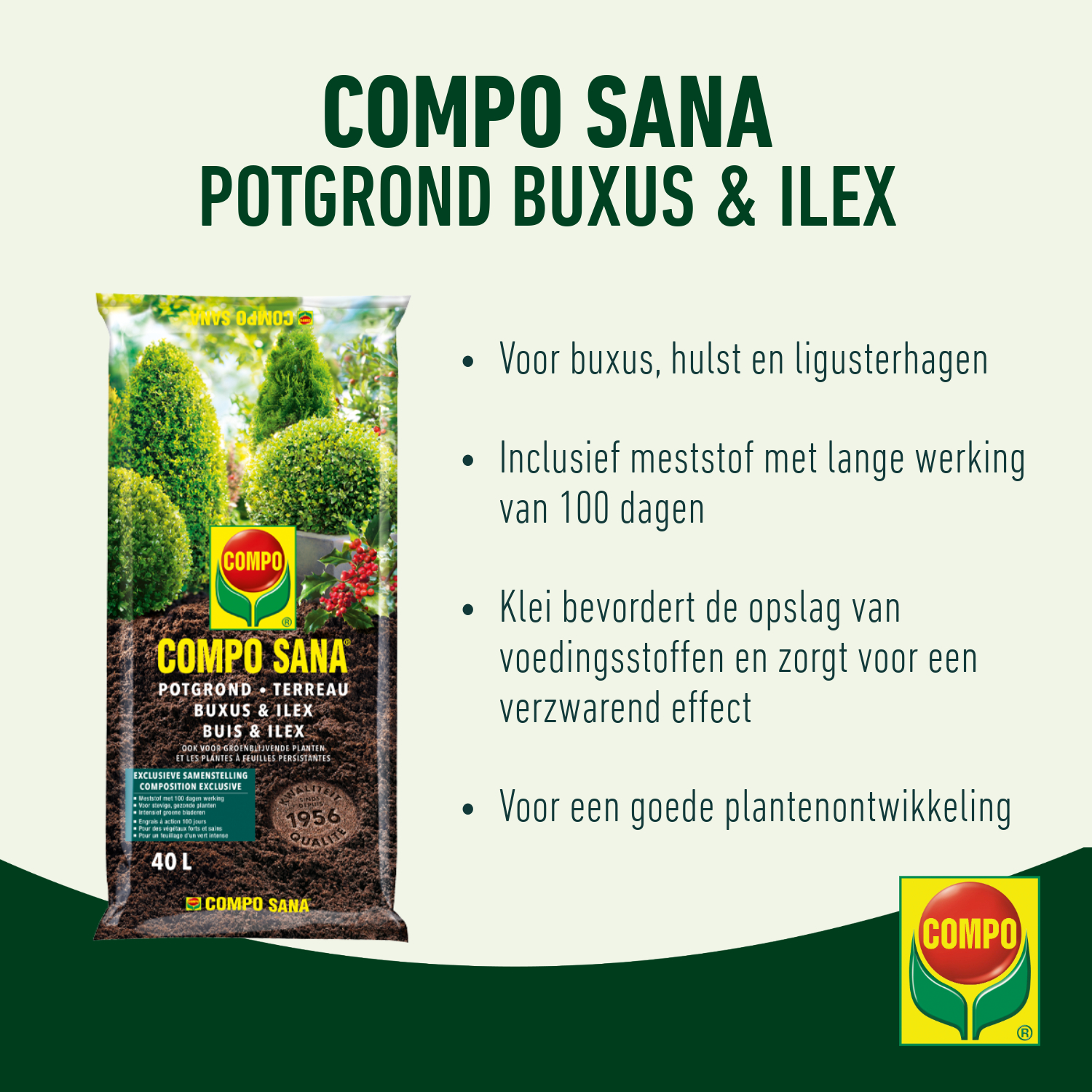 compo image
