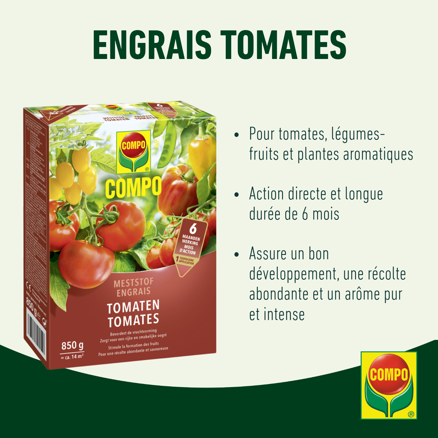 compo image