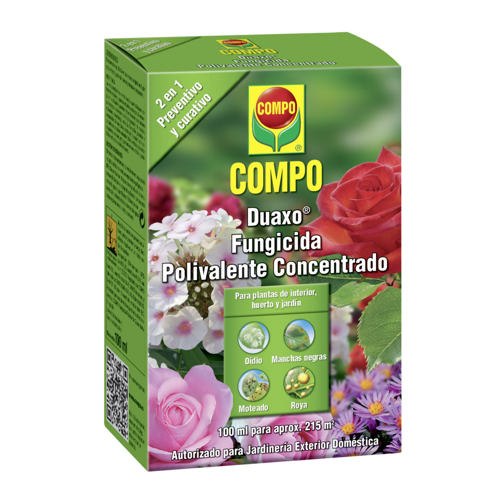 compo image