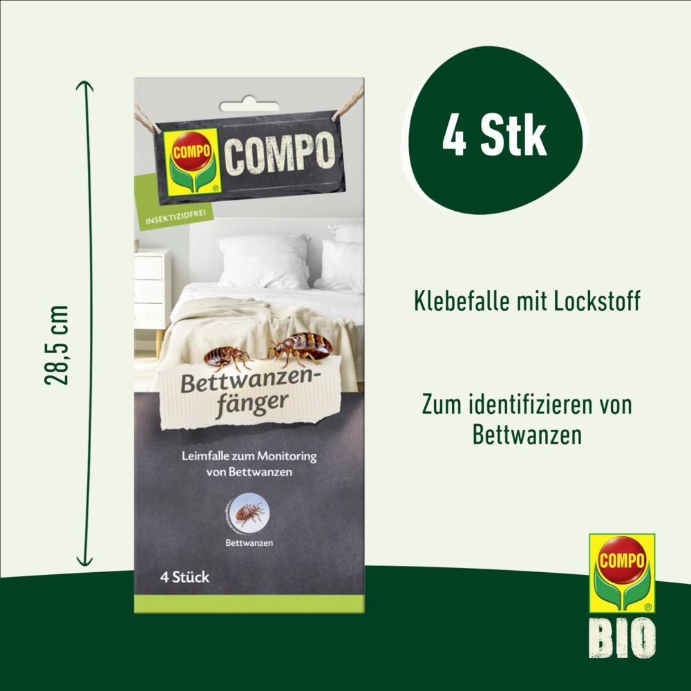 compo image