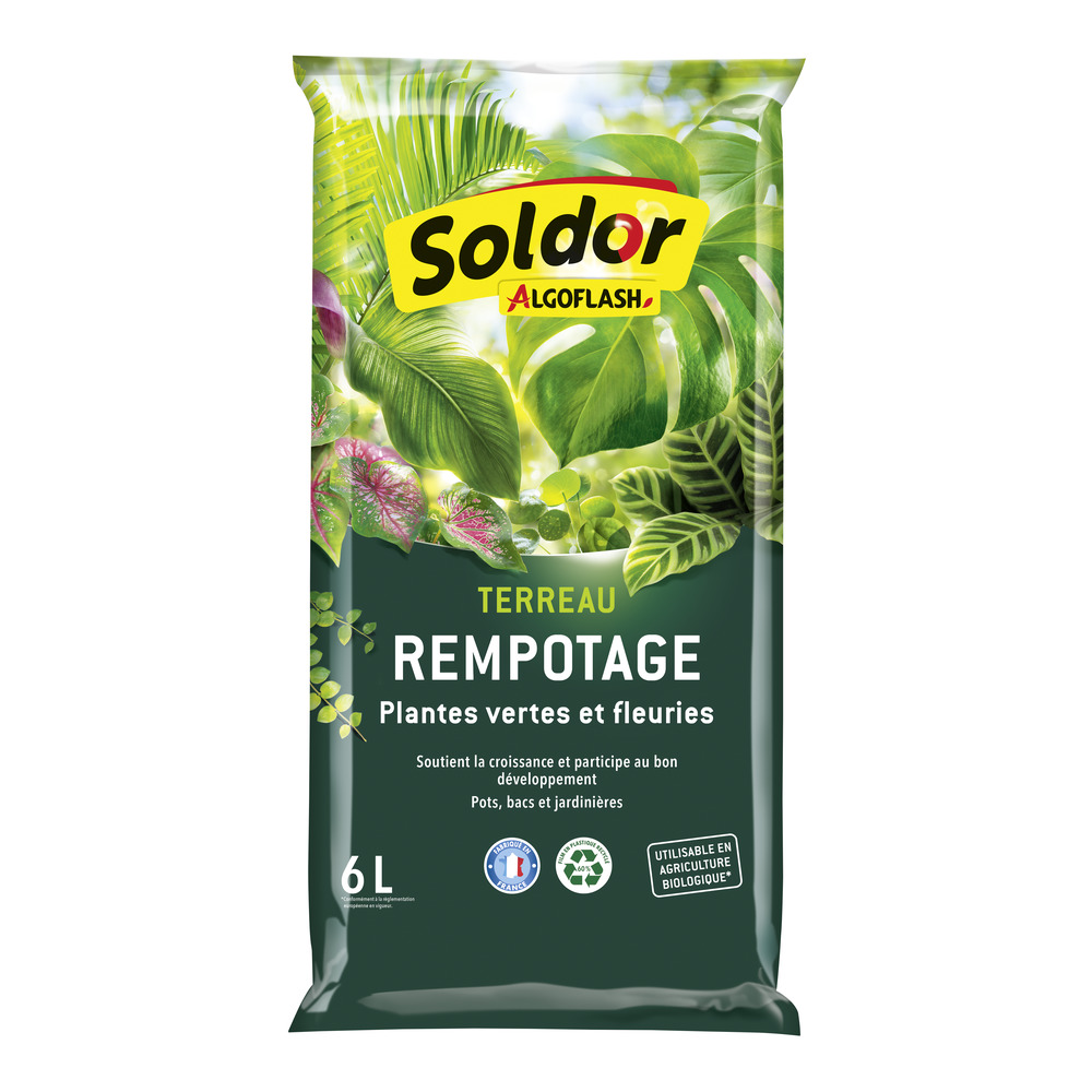 compo image