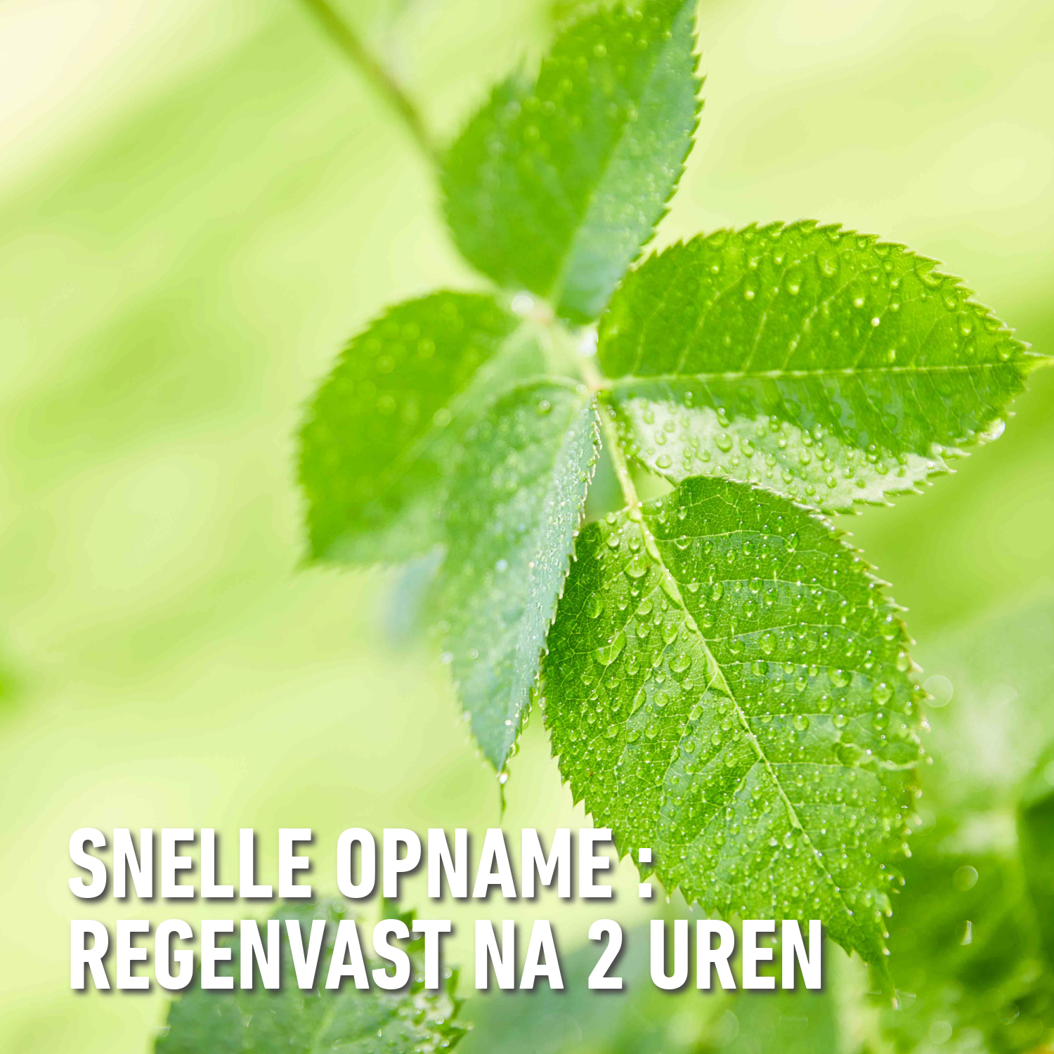 compo image