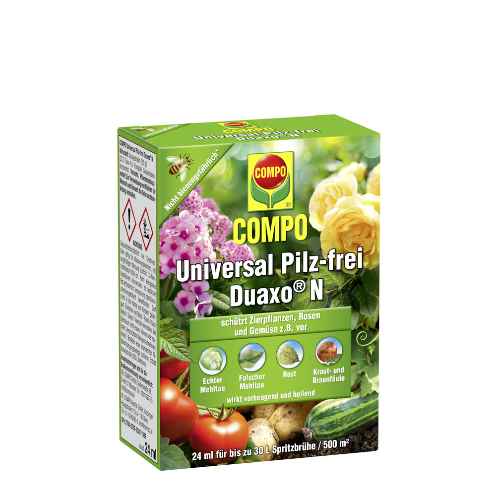 compo image
