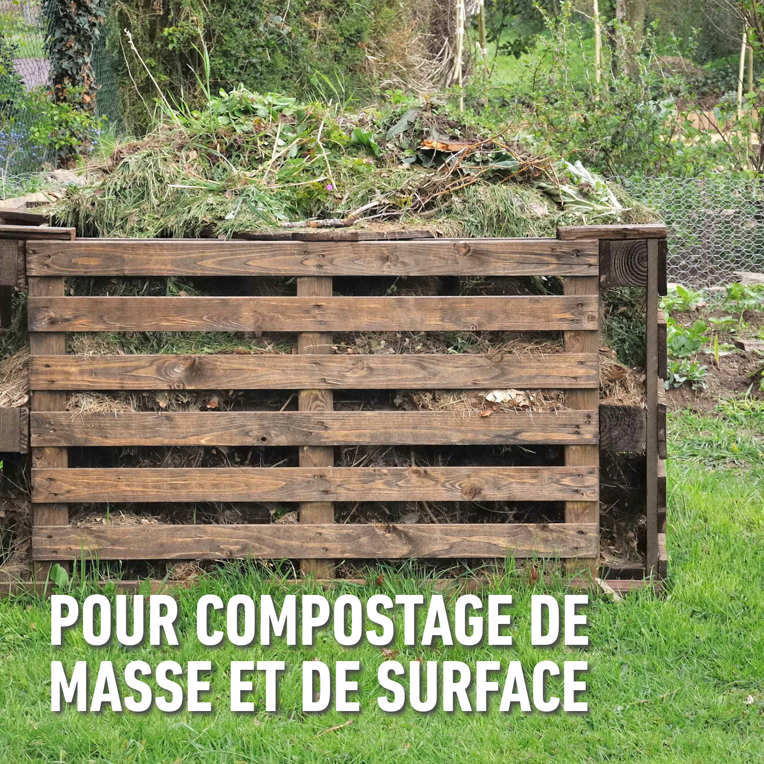 compo image