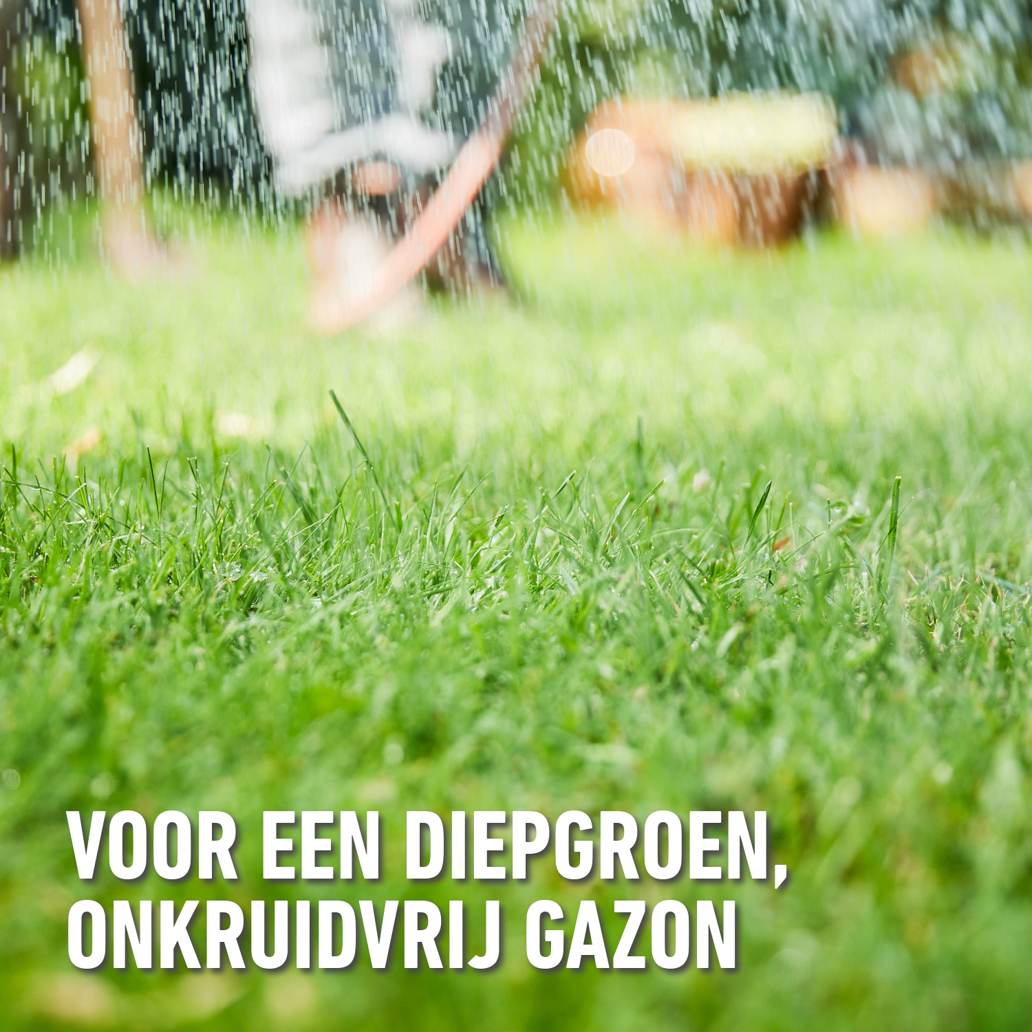 compo image