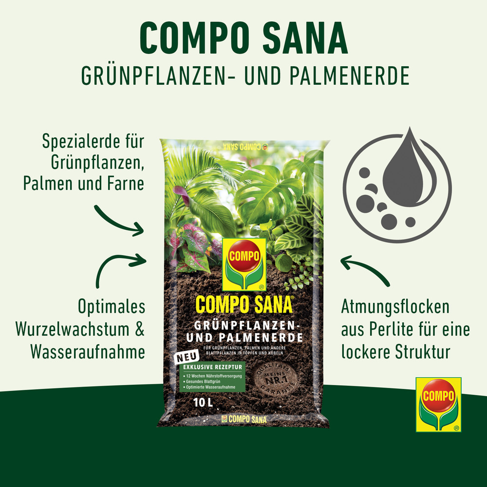 compo image