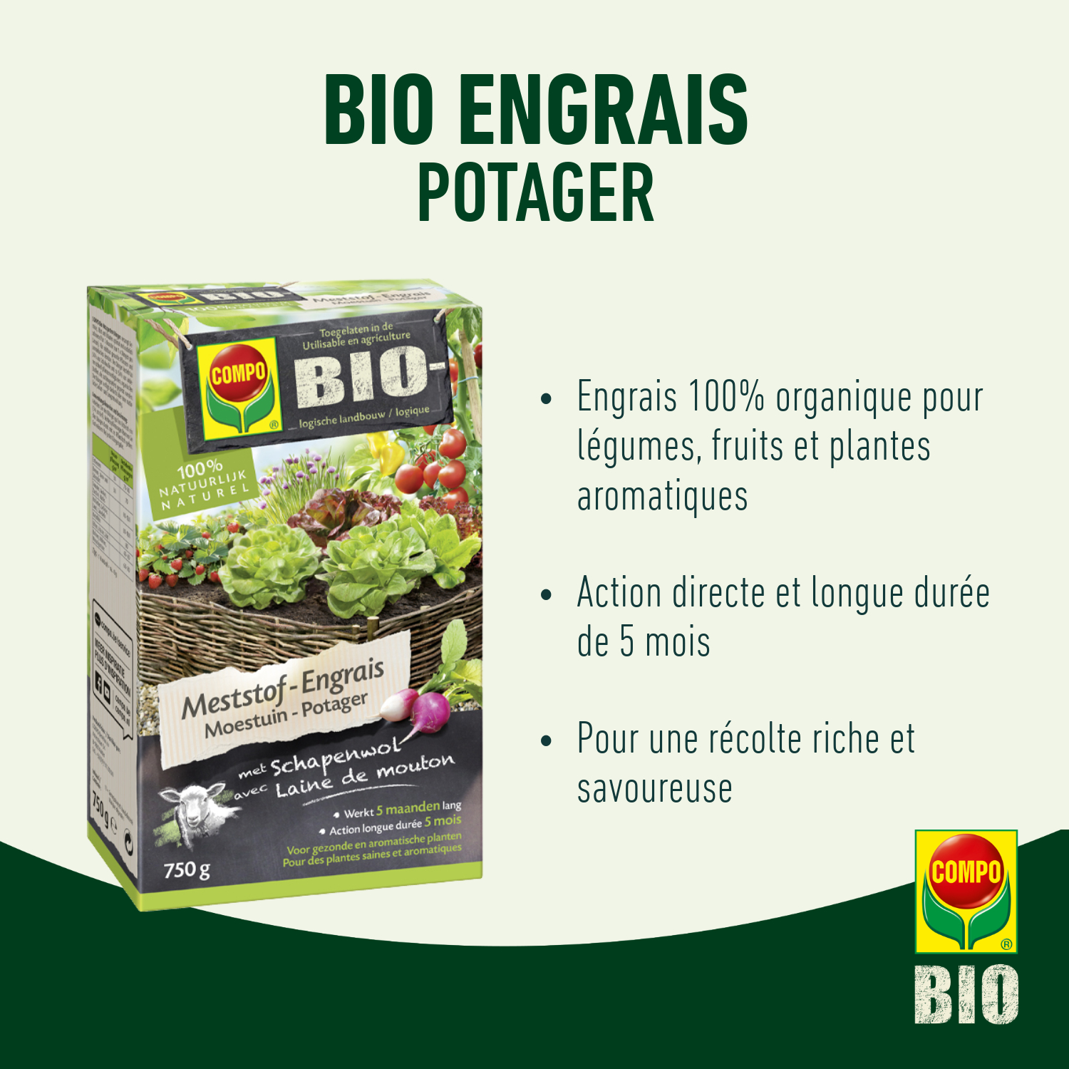 compo image