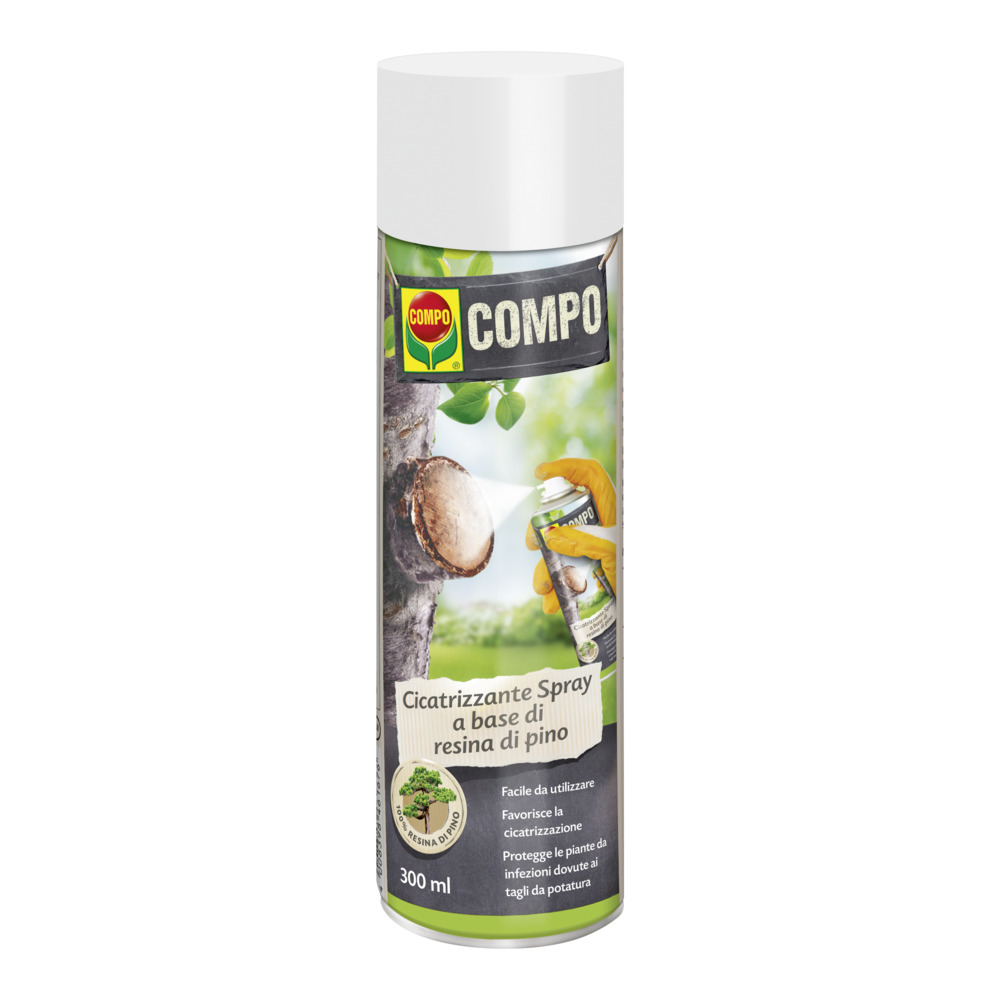 compo image