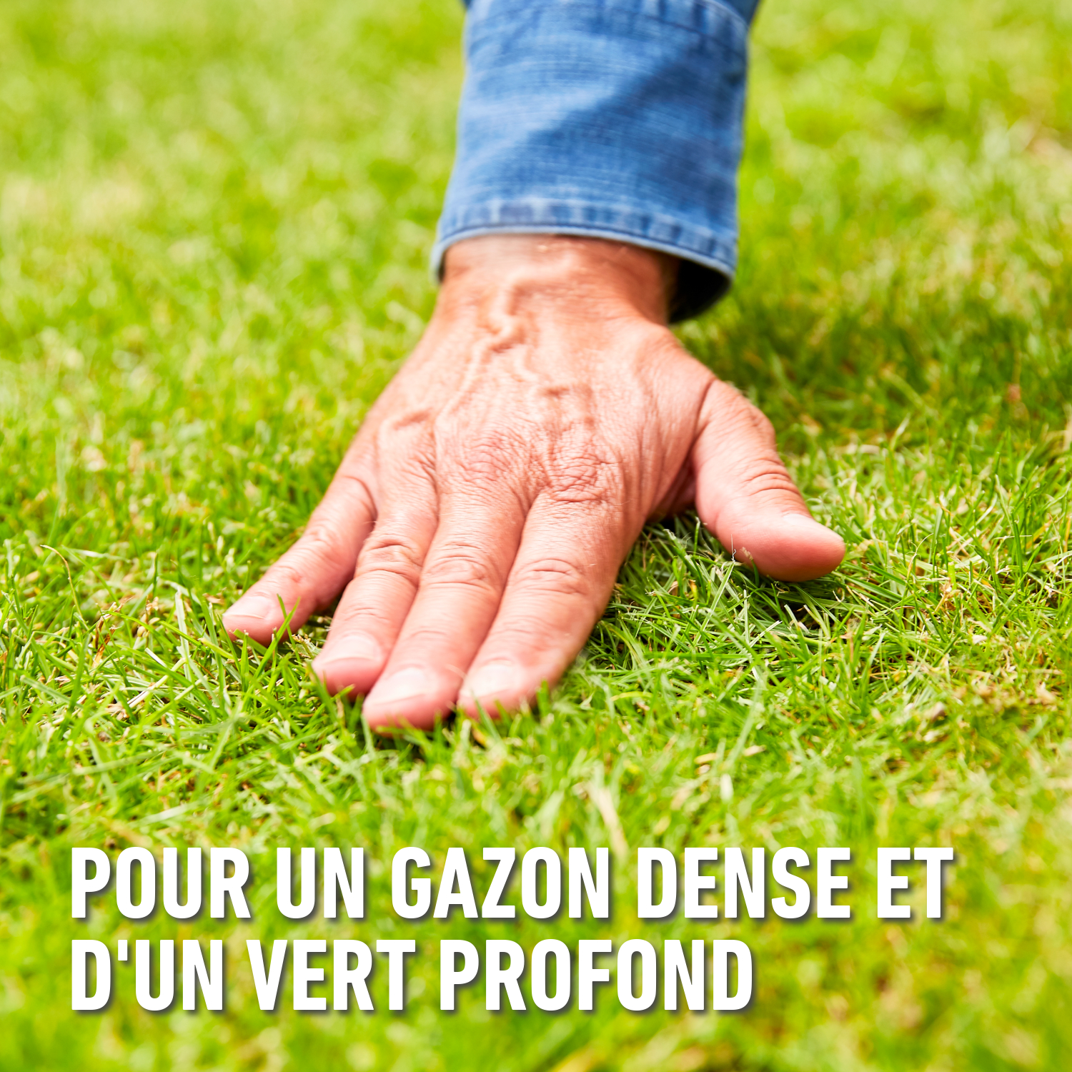 compo image