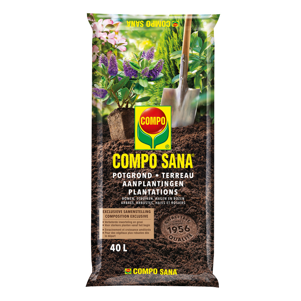 compo image