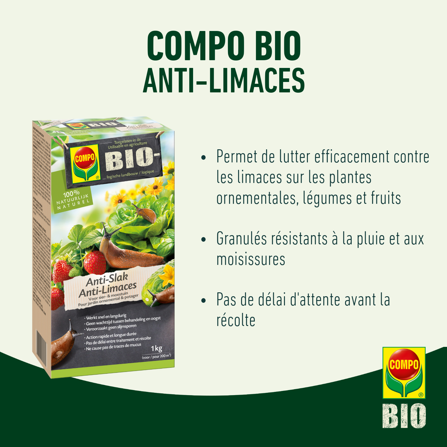 compo image