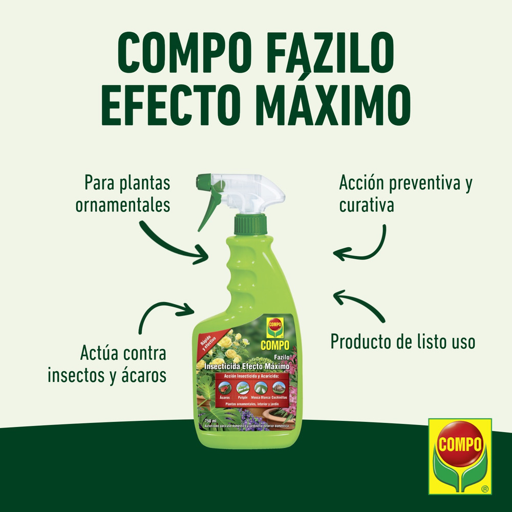 compo image